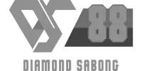 Payment Provider 2 logo